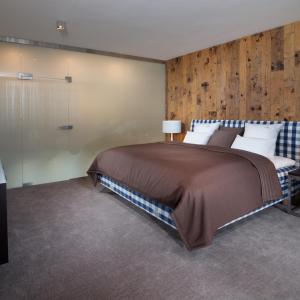 Deluxe Apartment with Balcony and Unlimited Access to the Wellness and Pool