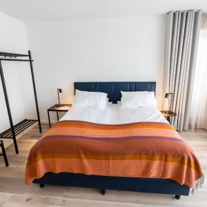 Large Deluxe One Bedroom Apartment