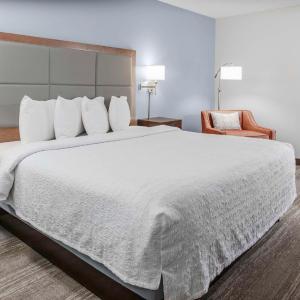 Deluxe King Room with Sofa Bed - Non Smoking
