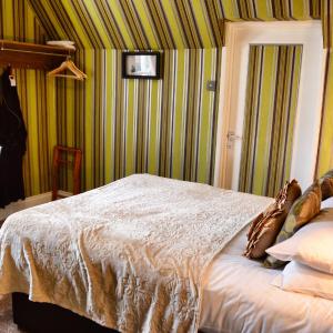 Basic Double Room