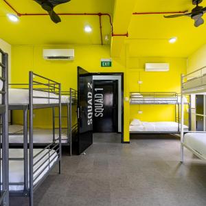 10-Bed Mixed Dormitory Room