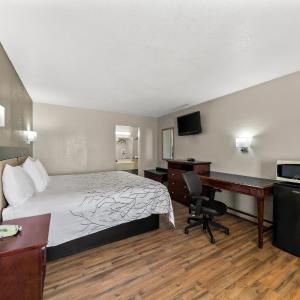 Large Single Room