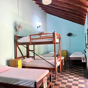 Single Bed in Mixed Dormitory Room