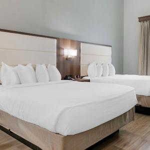 Queen Room with Two Queen Beds - Disability Access/Bath Tub
