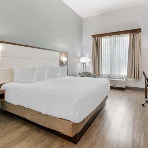 King Room - Non-Smoking