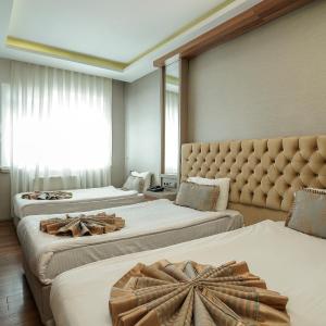 Basic Triple Room