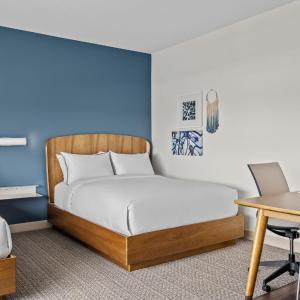 Queen Studio with Sofa Bed and Roll-in Shower - Mobility and Hearing Accessible