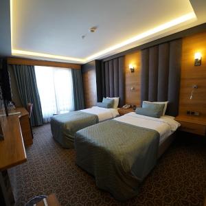 Standard Twin Room with Mountain View