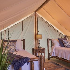 Safari Tent