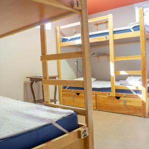 Bed in 4-Bed Mixed Dormitory Room