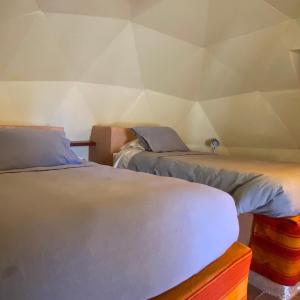 Economy Twin Room with Private Bathroom