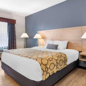 King Room - Disability Access - Non-Smoking