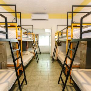 8 Bed Mixed Community Dorm