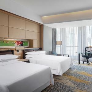 Executive Room Twin