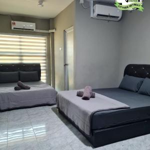 Deluxe Family Room with Window