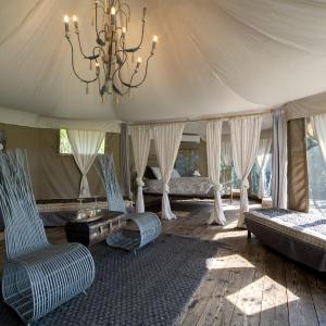 Suite Tent
