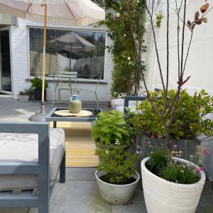 Family Room with Terrace