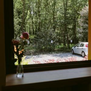 Suite with Garden View