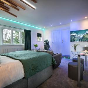 Deluxe Queen Suite