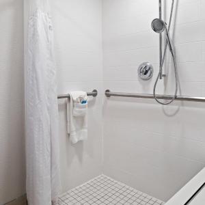 Standard King Room with Mobility Accessible Roll-In Shower