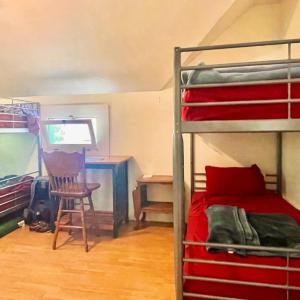 Bed in 6-Bed Mixed Dormitory Room