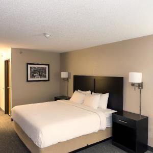 Twin Room - Disability Access