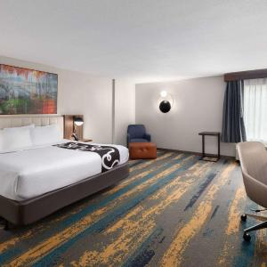 King Room with Bath and Mobility/Hear Access - Non-Smoking