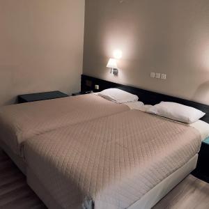 Double or Twin Room with City View