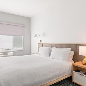 One-Bedroom King Suite with Sofa Bed 