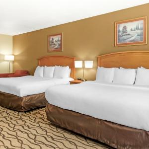 Quadruple Room with Two King Beds - Non Smoking