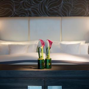Panorama Suite