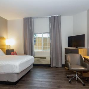 Studio Queen Suite