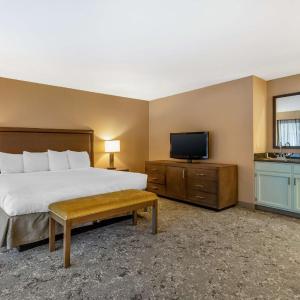 King Room - Pet Friendly/Non-Smoking