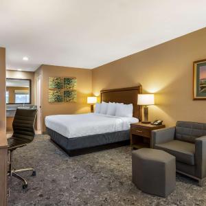 Junior King Suite with Sofa Bed and Balcony - Non-Smoking