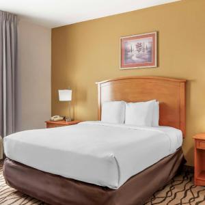 Efficiency One Room Suite with Sofa Bed - Non Smoking