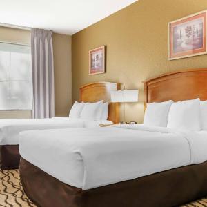 Efficiency Quadruple Room with Two Queen Beds - Non Smoking