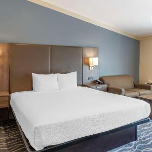 King Room with Roll-in Shower - Mobility Accessible/Non-Smoking
