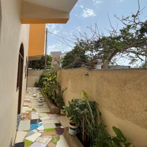 Double Room with Terrace
