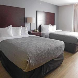 Double Room with Two Double Beds - Non Smoking