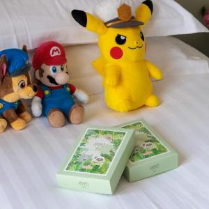 Two Connecting Double Rooms