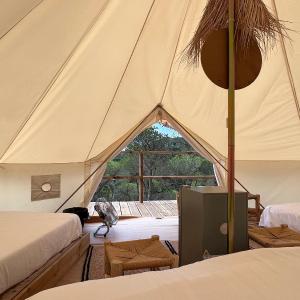 Tent Quadruple
