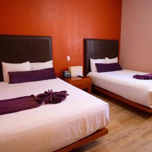 Double Suite with Two Double Beds