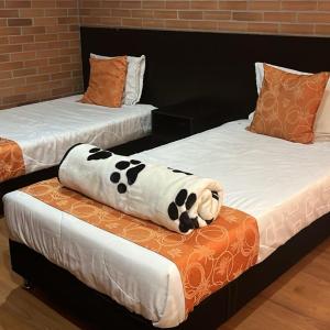 Executive Twin Room