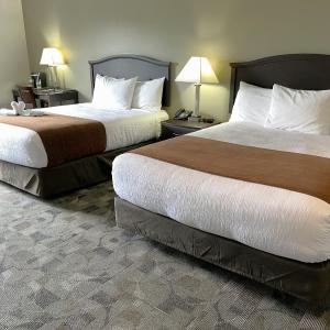 Deluxe Queen Room with Two Queen Beds