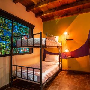Bed in 6-Bed Mixed Dormitory Room