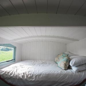 Shepherd's Hut - Apple