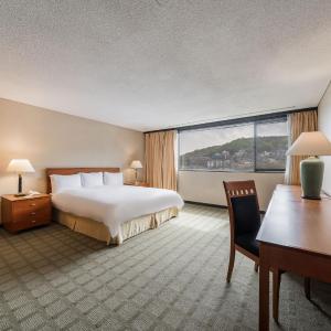 Grand Suite -Four-Bedroom Apartment