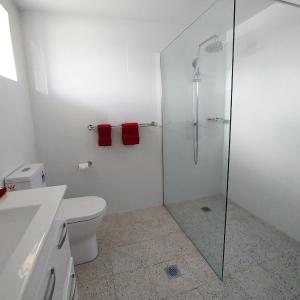 Premium Family Room (Pet Friendly)