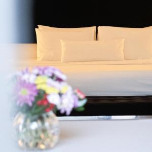 Superior King Suite