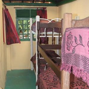 Bed in 6-Bed Mixed Dormitory Room